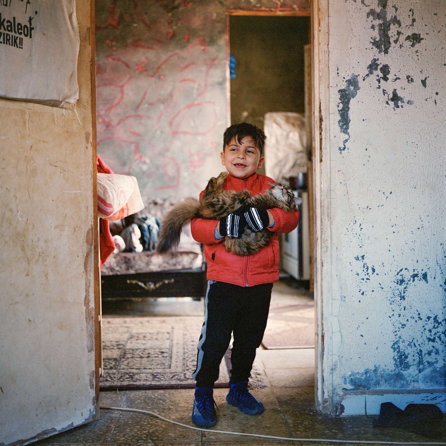 Nabil (5) and his cat in his grandparents' apartment.
